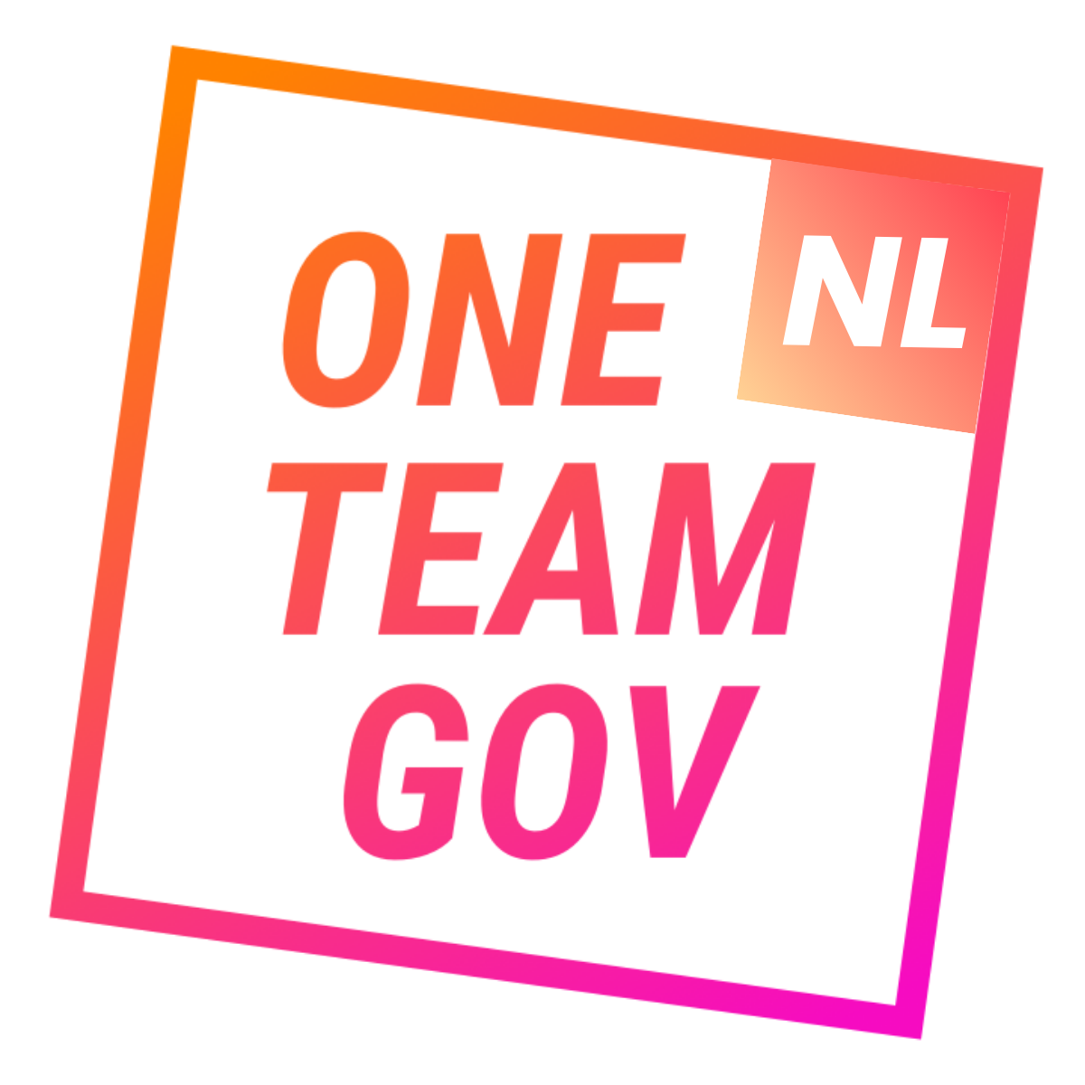 One Team Gov